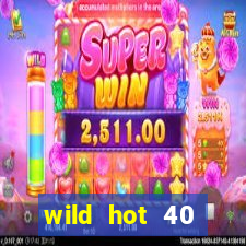 wild hot 40 christmas slot