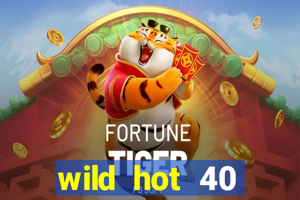 wild hot 40 christmas slot