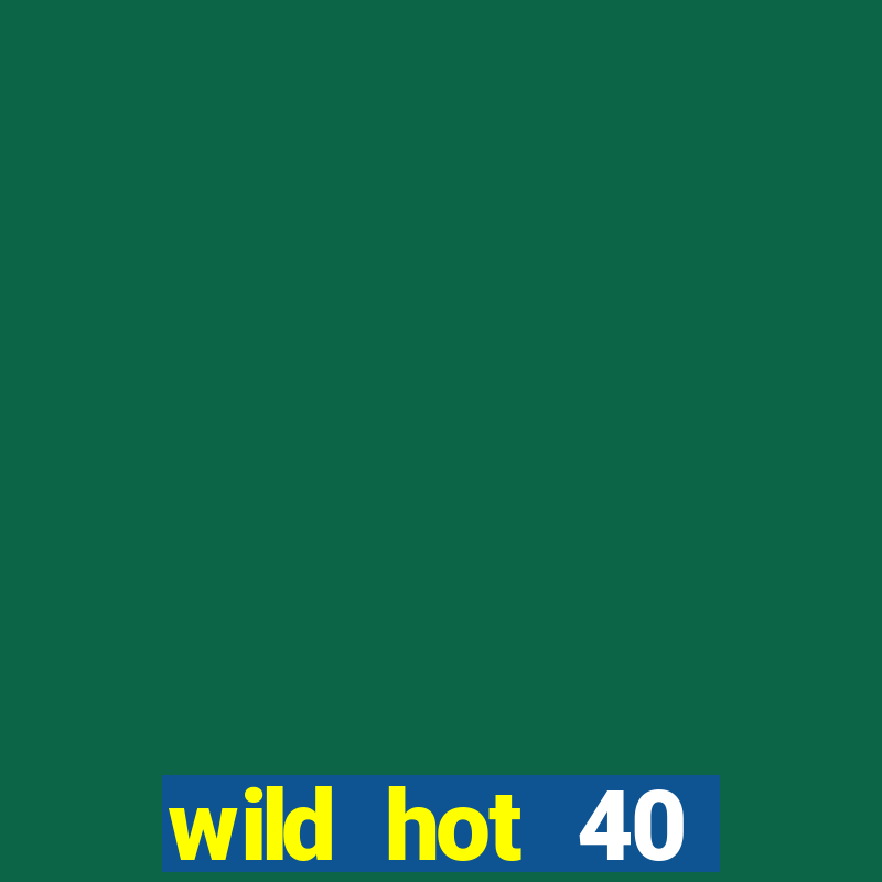 wild hot 40 christmas slot