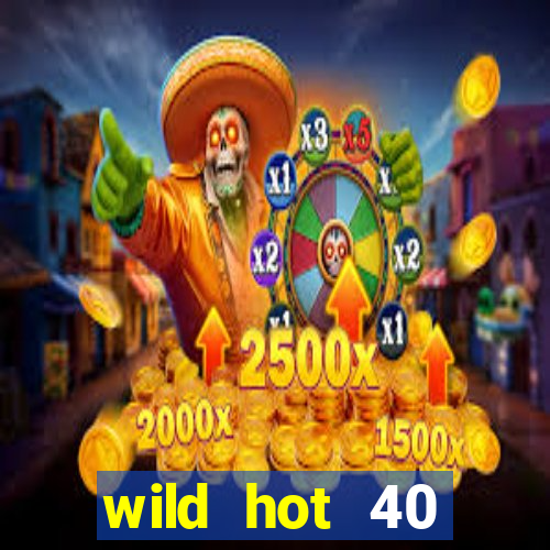 wild hot 40 christmas slot