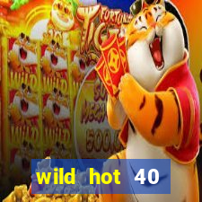 wild hot 40 christmas slot