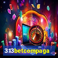 313betcompaga