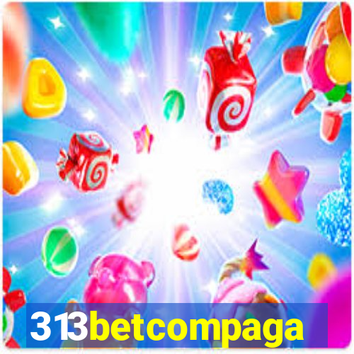 313betcompaga