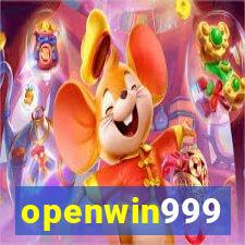 openwin999