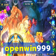 openwin999