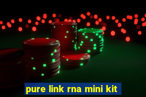 pure link rna mini kit