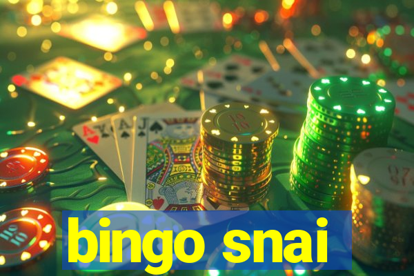 bingo snai