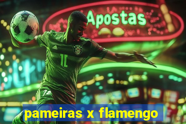 pameiras x flamengo