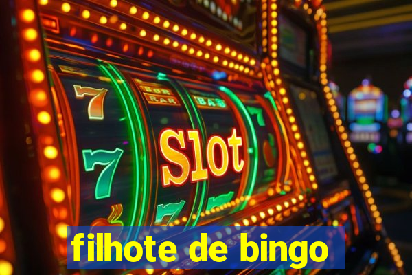 filhote de bingo