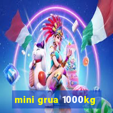 mini grua 1000kg