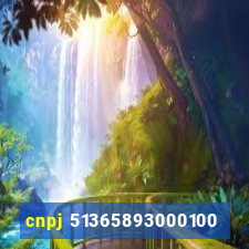 cnpj 51365893000100