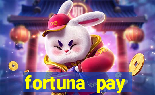 fortuna pay consultoria financeira ltda