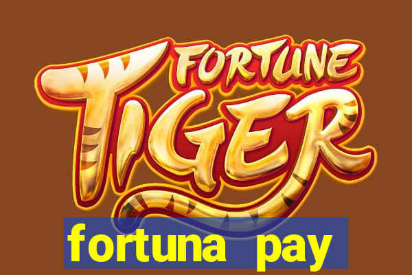 fortuna pay consultoria financeira ltda