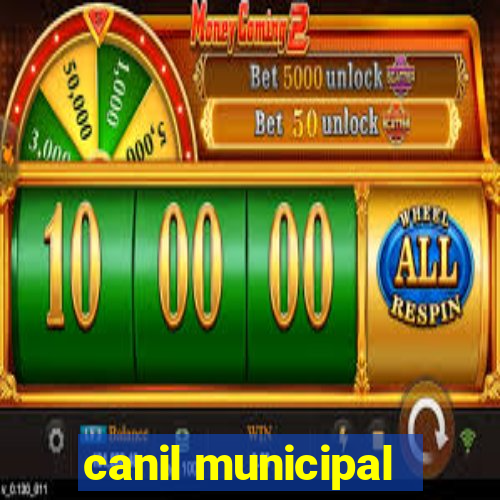 canil municipal