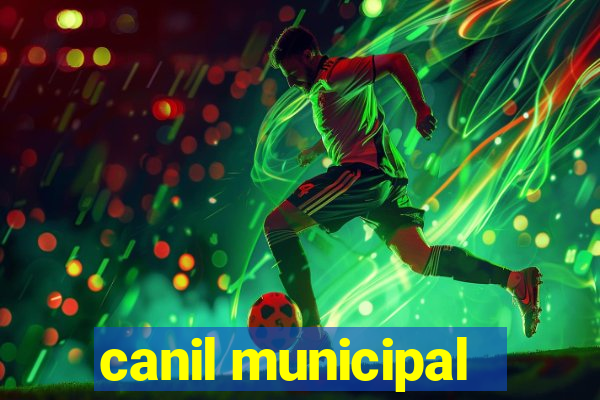 canil municipal