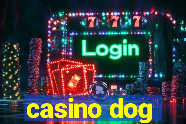 casino dog