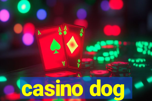 casino dog