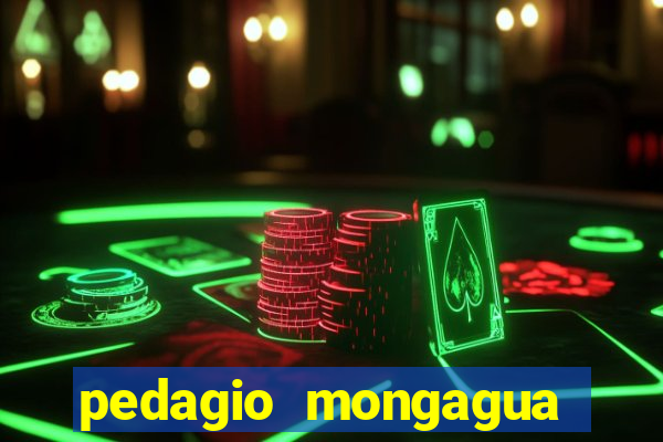 pedagio mongagua sao paulo