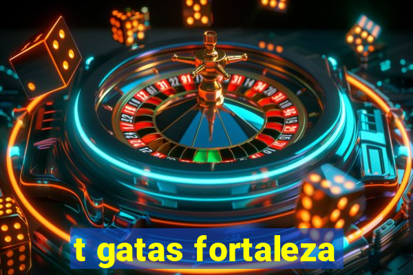 t gatas fortaleza