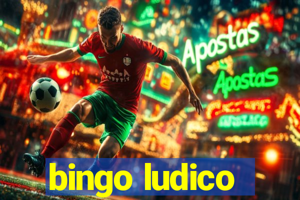 bingo ludico