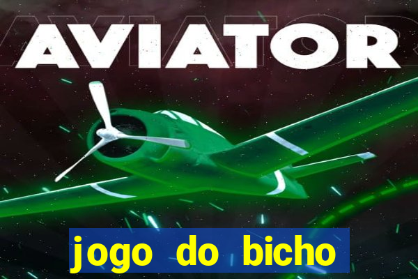 jogo do bicho documentario globoplay