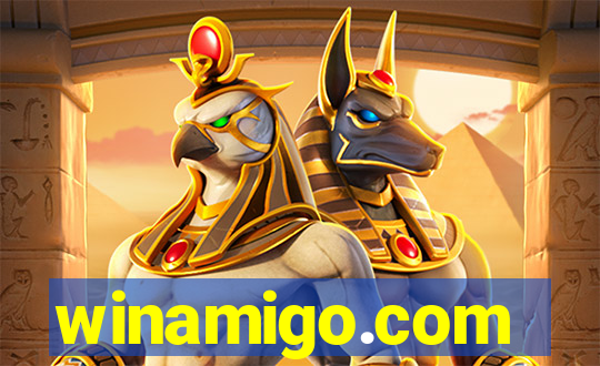 winamigo.com