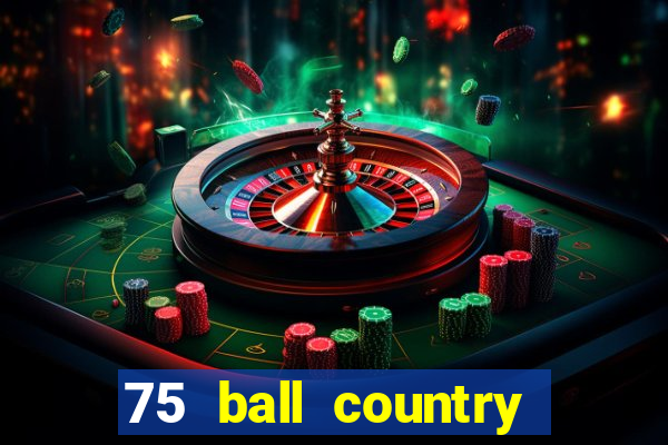 75 ball country road bingo