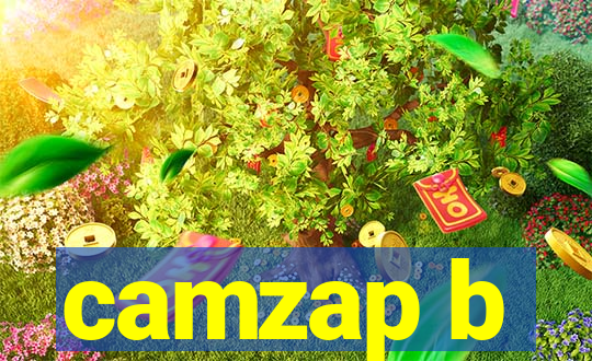 camzap b