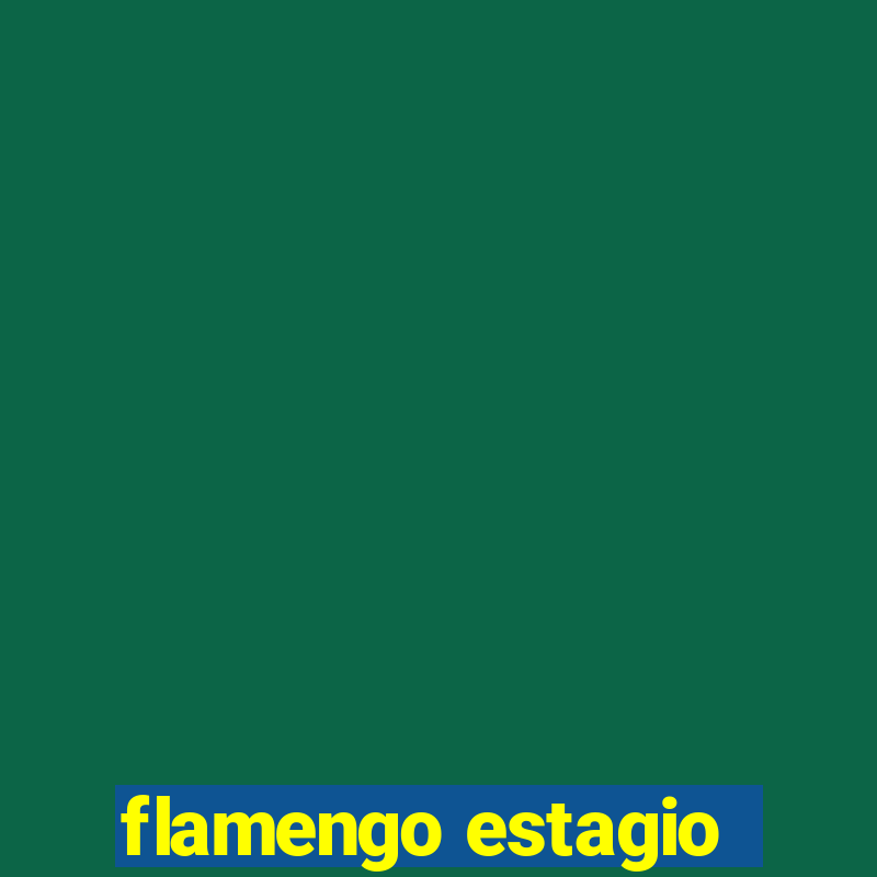 flamengo estagio