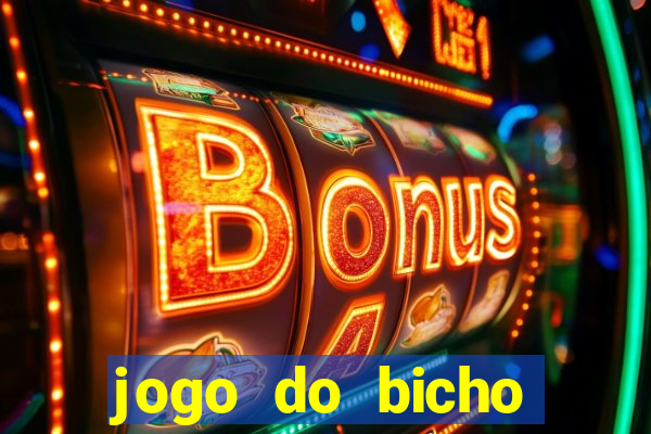 jogo do bicho online df