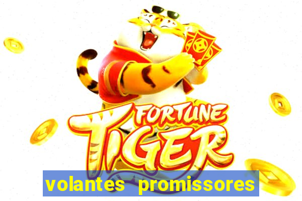 volantes promissores ea fc 24