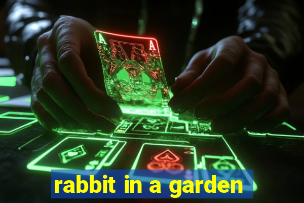 rabbit in a garden