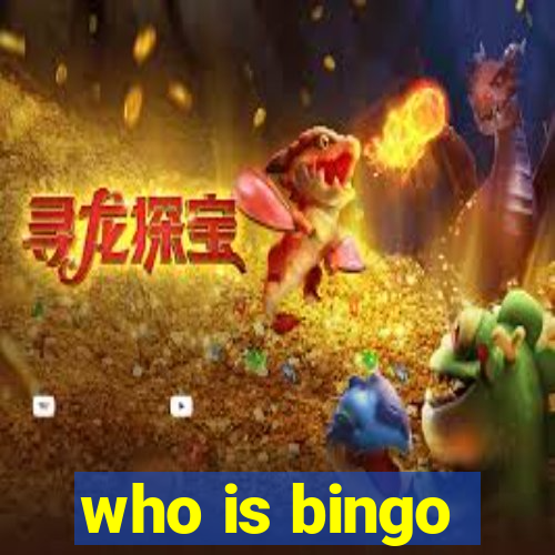 who is bingo