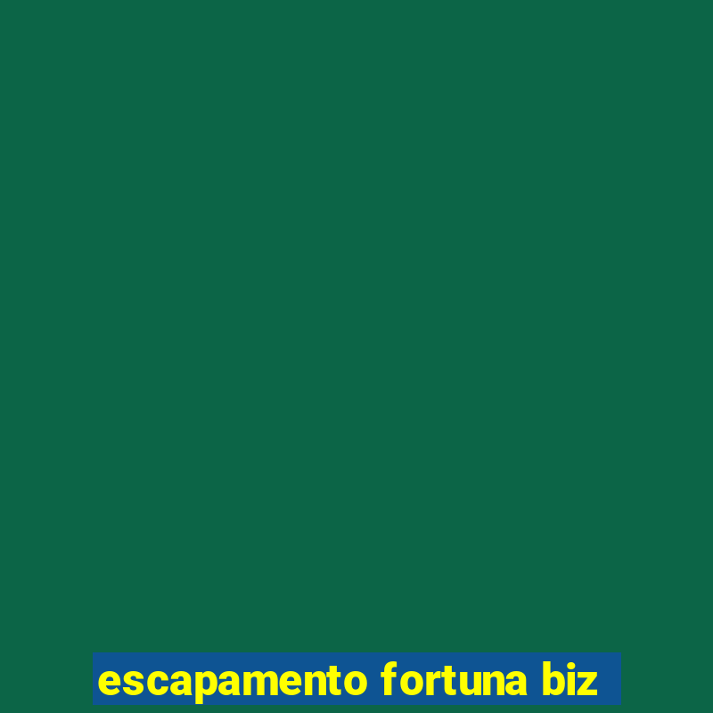 escapamento fortuna biz