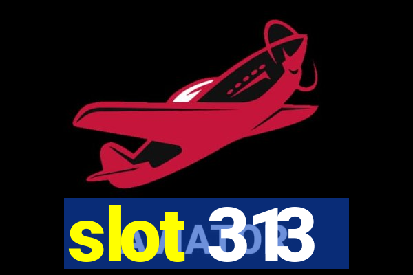 slot 313