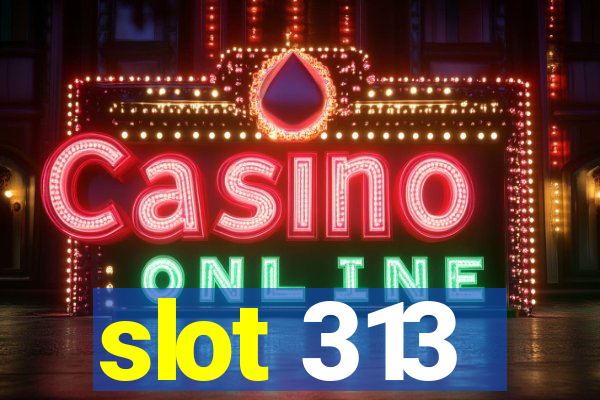 slot 313