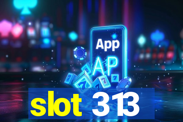 slot 313