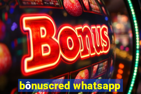 bônuscred whatsapp