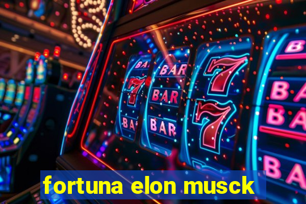 fortuna elon musck