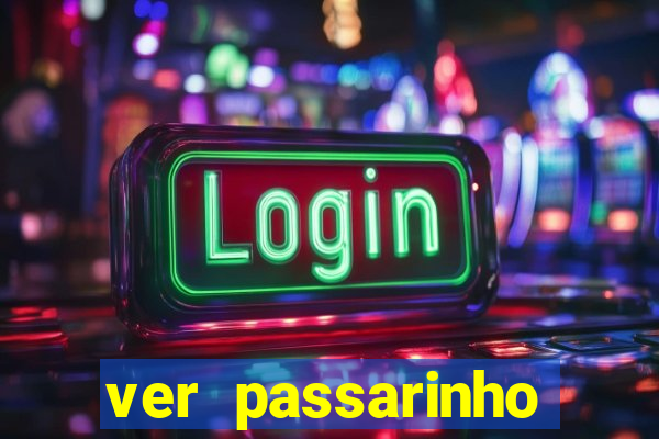 ver passarinho morto significado espiritual