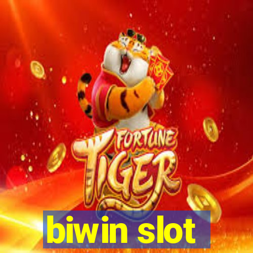 biwin slot