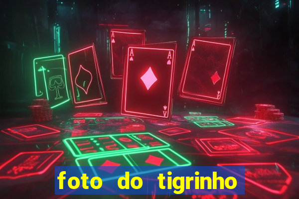 foto do tigrinho do jogo