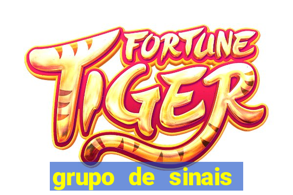 grupo de sinais fortune rabbit