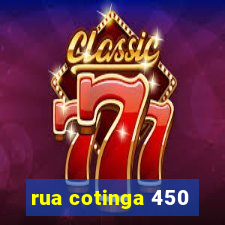 rua cotinga 450