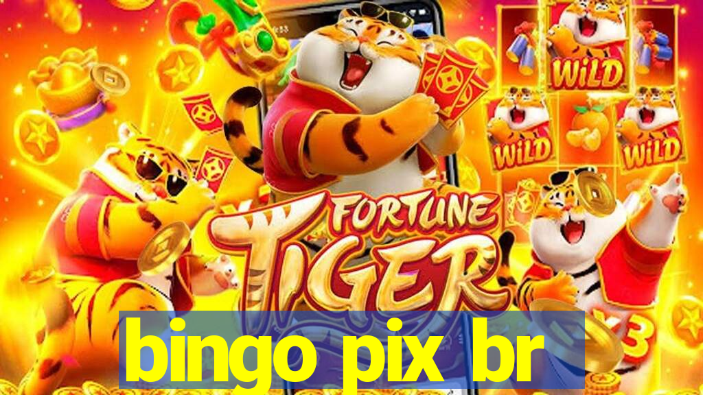 bingo pix br