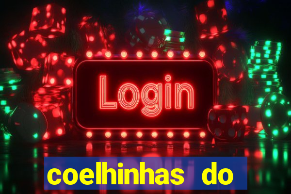 coelhinhas do brasil acompanhantes