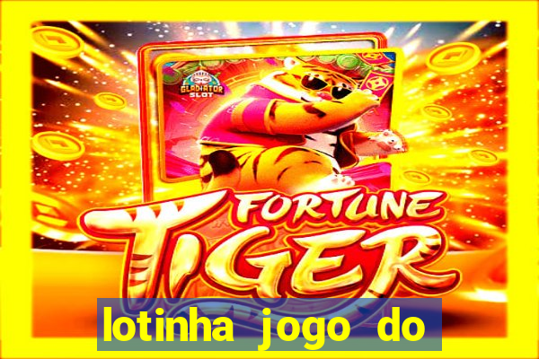 lotinha jogo do bicho como funciona