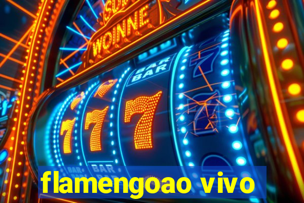 flamengoao vivo