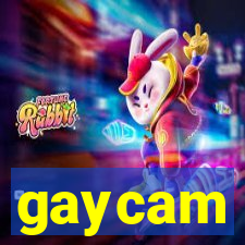 gaycam