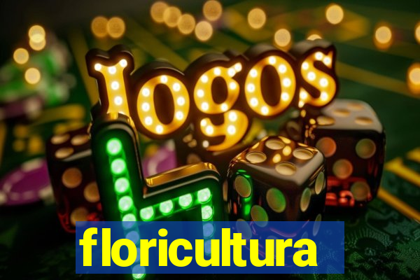 floricultura cruzeiro novo